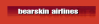 bearskinairlines